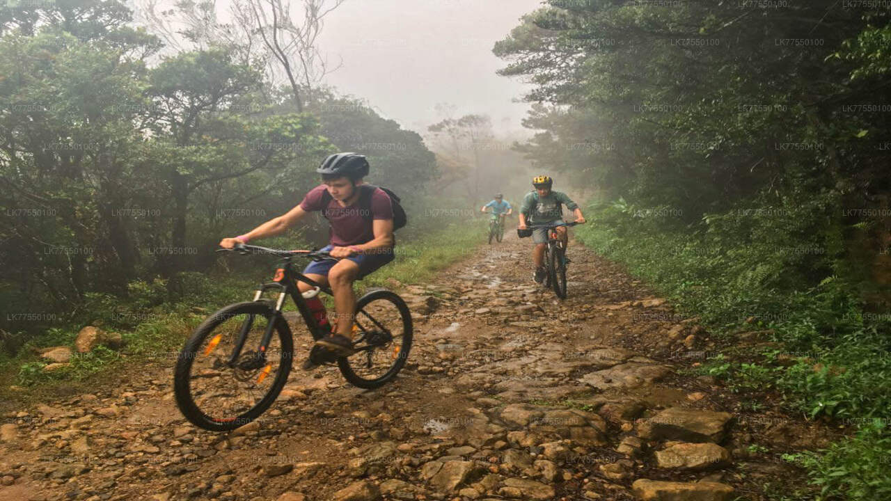 大比谷から自転車で行く悪魔の階段