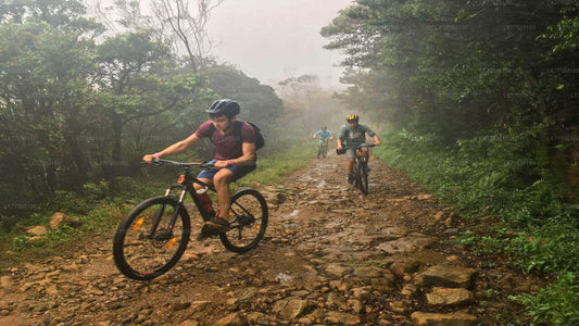 大比谷から自転車で行く悪魔の階段