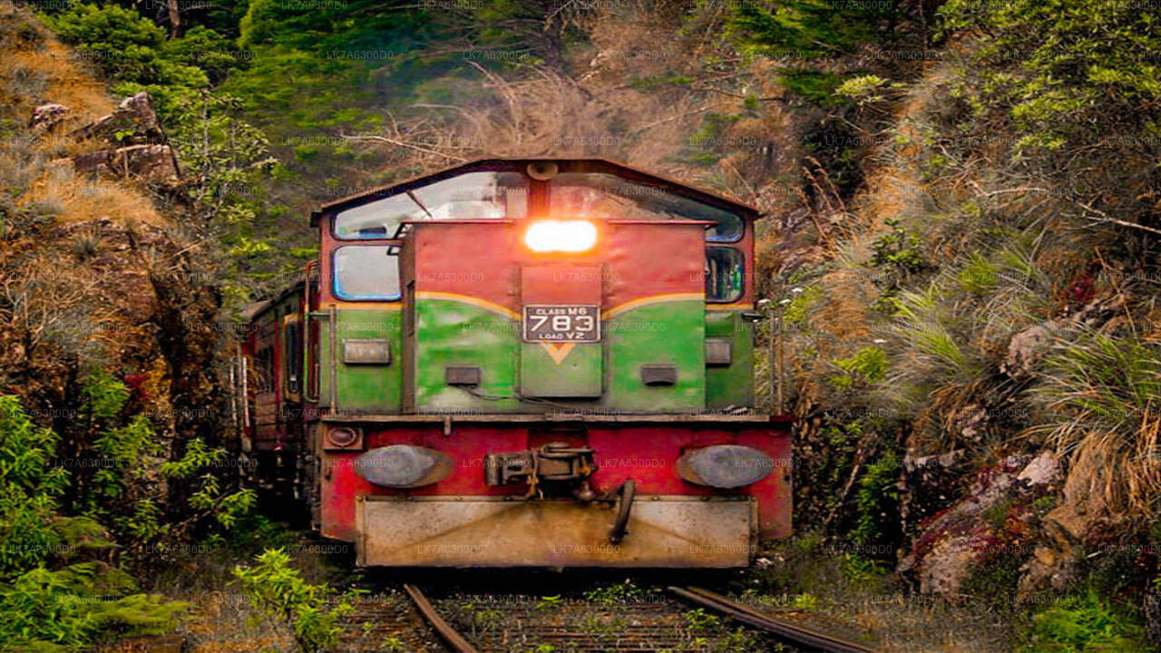 バドゥッラからキャンディまでの列車に乗車 (列車番号: 1016 "Udarata Menike")