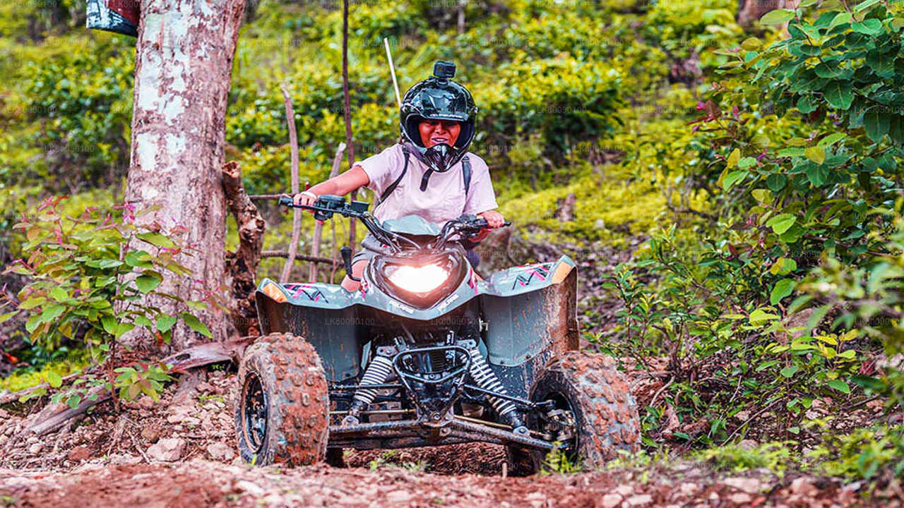 エラの ATV アドベンチャー