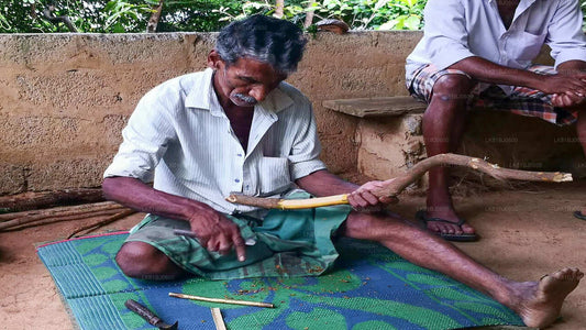 コロンボ港からのベントータシティツアー