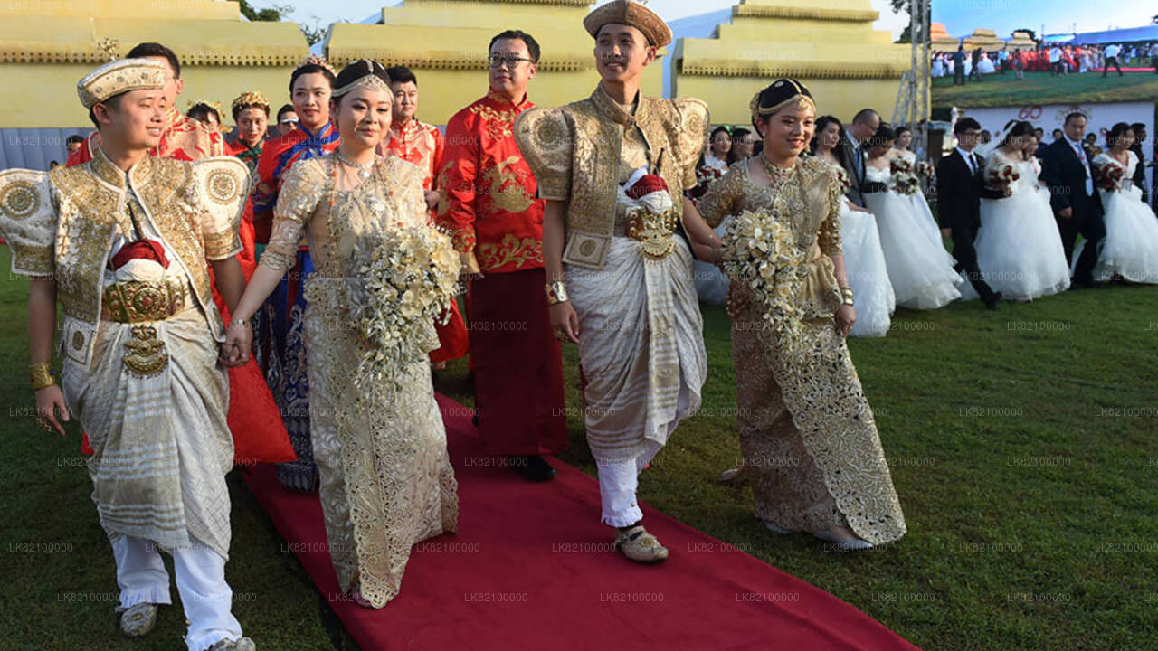 法的な婚姻登録