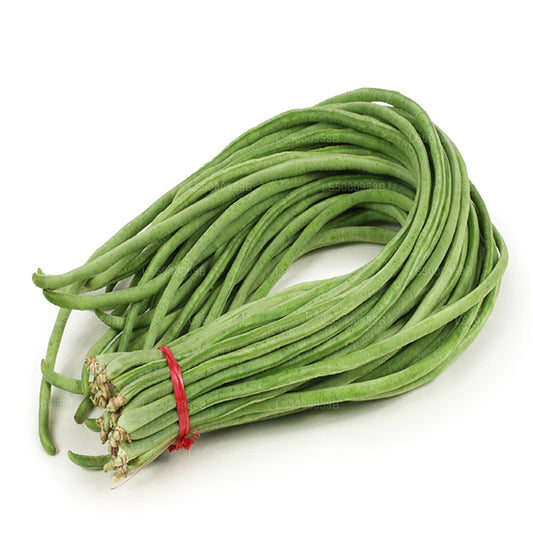 長豆 - මෑකරල් (500g)