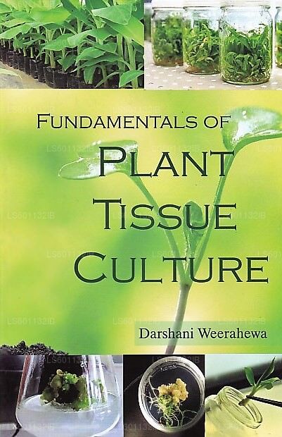 植物組織培養の基礎